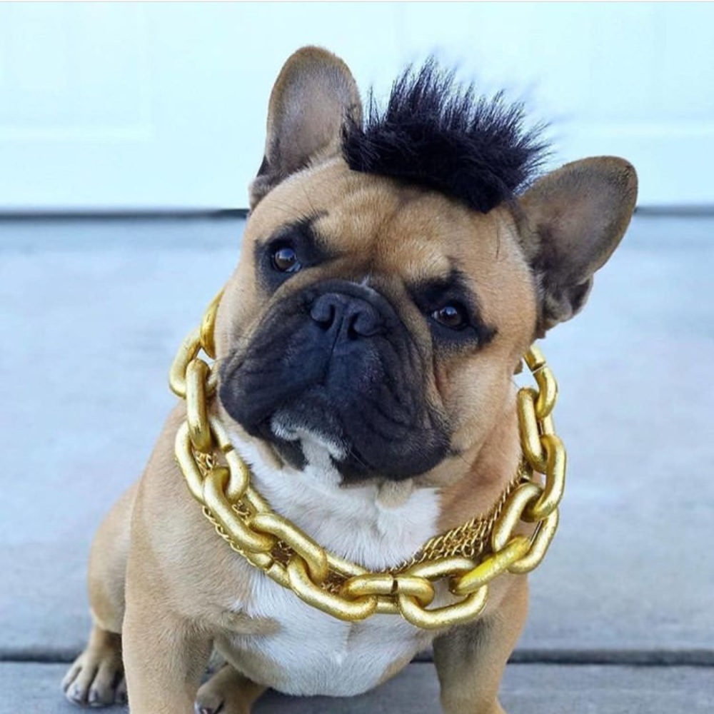 Meet your Posher, Robert